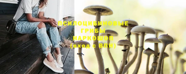 Альфа ПВП Бронницы