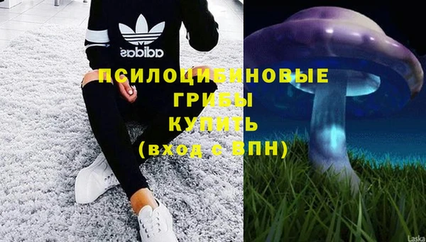 Альфа ПВП Бронницы