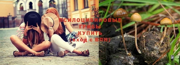 Альфа ПВП Бронницы