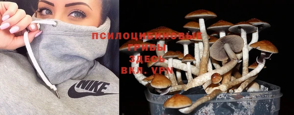 Альфа ПВП Бронницы